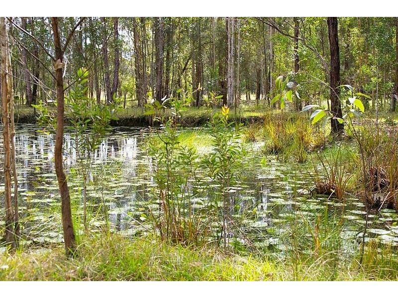 697 Beranghi Road, Crescent Head NSW 2440