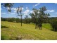 6A Wilsons Lane, Hickeys Creek NSW 2440