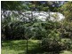 9 Nineteenth Ave, Stuarts Point NSW 2441