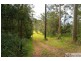58 Davis Road, Wittitrin Via, Kempsey NSW 2440