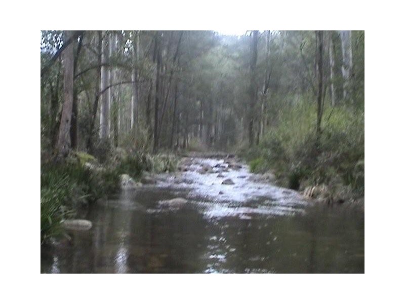 Lot 31 1085 Lower Creek Road, Lower Creek via, Kempsey NSW 2440