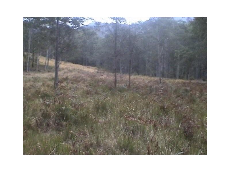 Lot 31 1085 Lower Creek Road, Lower Creek via, Kempsey NSW 2440