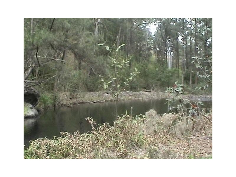 Lot 31 1085 Lower Creek Road, Lower Creek via, Kempsey NSW 2440
