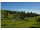 858 Temagog Road, Temagog via, Kempsey NSW 2440