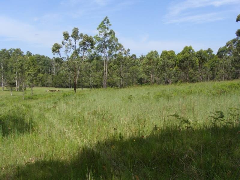 Lot 116 Bastows Lane, Collombatti NSW 2440