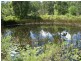 Lot 116 Bastows Lane, Collombatti NSW 2440