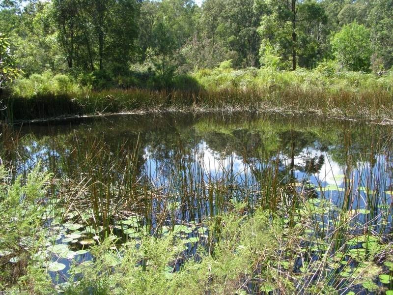Lot 116 Bastows Lane, Collombatti NSW 2440