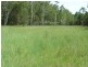 Lot 116 Bastows Lane, Collombatti NSW 2440