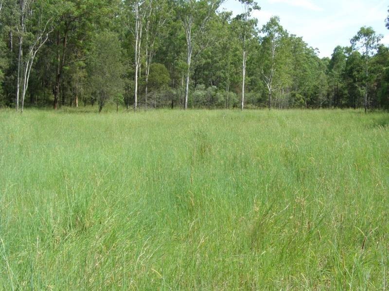 Lot 116 Bastows Lane, Collombatti NSW 2440