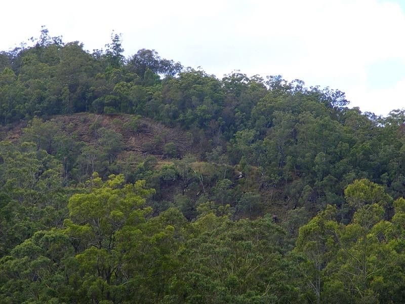 Lot 70 Brassils Creek Road, Toorooka via, Kempsey NSW 2440