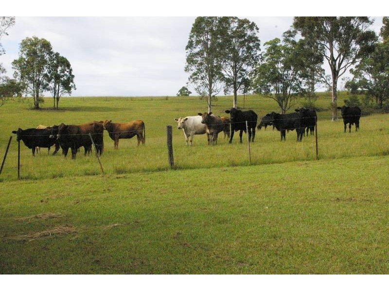 700 Temagog Road, Temagog Via, Kempsey NSW 2440