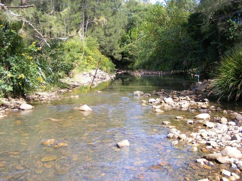 1201 Dungay Creek Road, Wittitrin Via, Kempsey NSW 2440