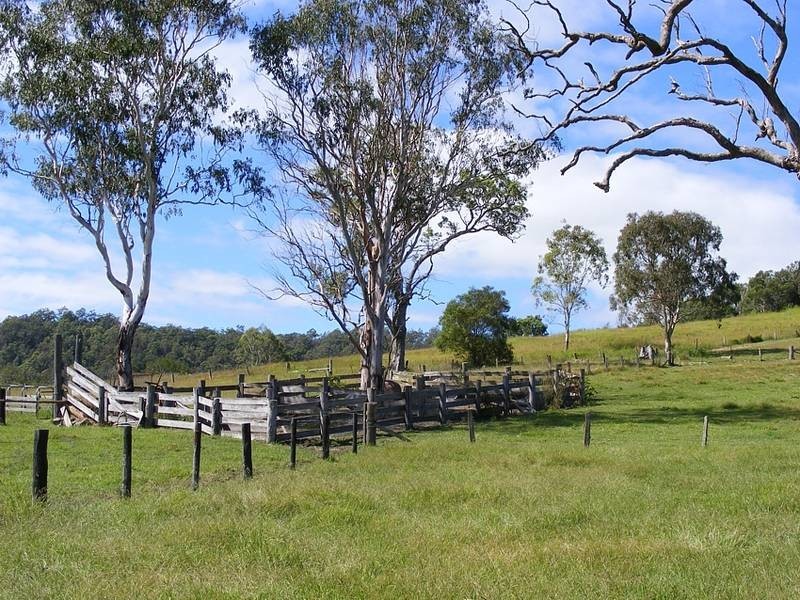 1201 Dungay Creek Road, Wittitrin Via, Kempsey NSW 2440