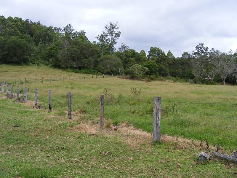1201 Dungay Creek Road, Wittitrin Via, Kempsey NSW 2440