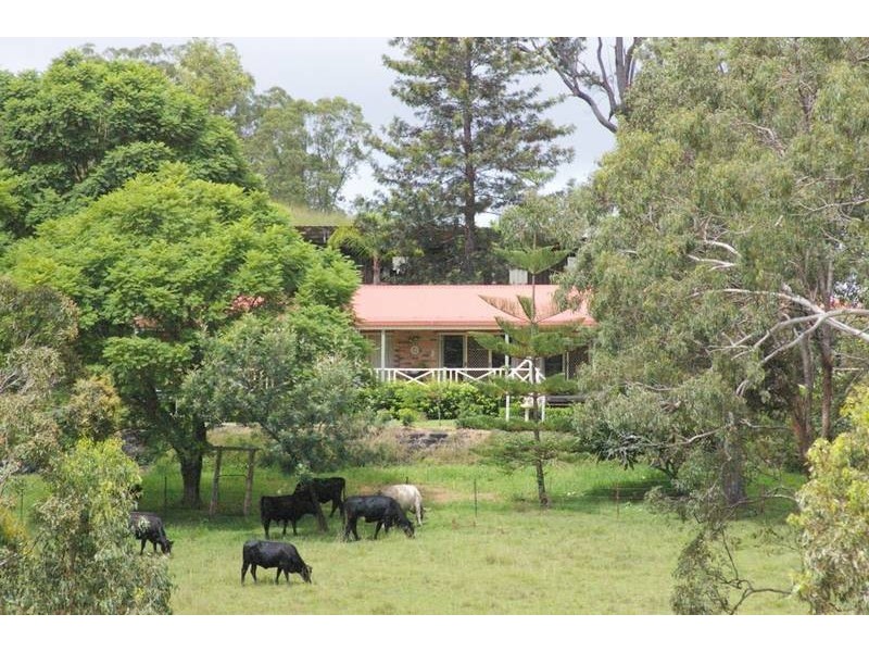 2706 Armidale Road, Willawarrin NSW 2440