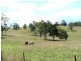 2706 Armidale Road, Willawarrin NSW 2440