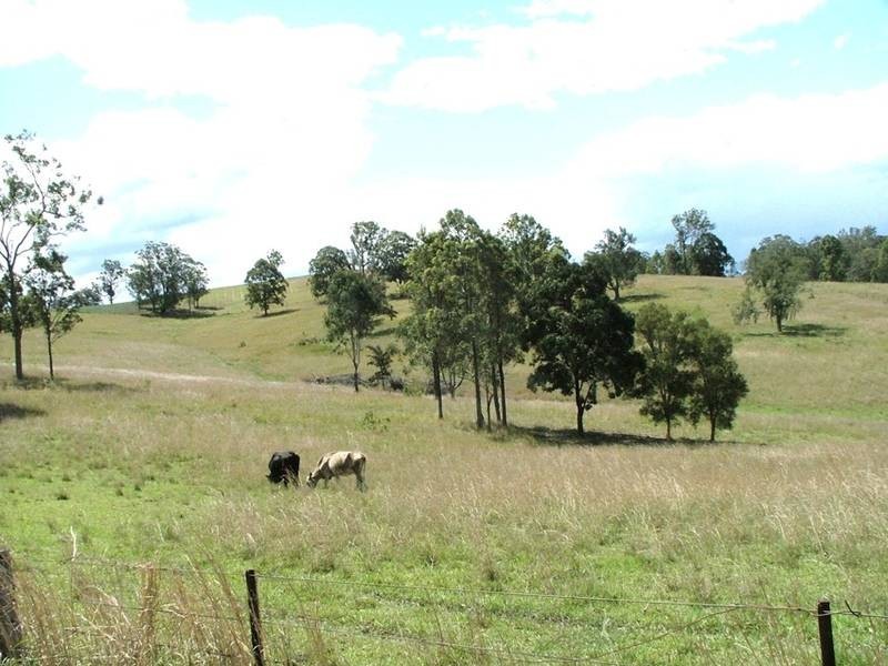 2706 Armidale Road, Willawarrin NSW 2440