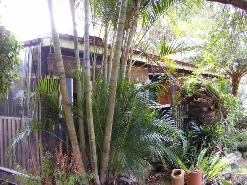 55 Straight Street, Hat Head NSW 2440