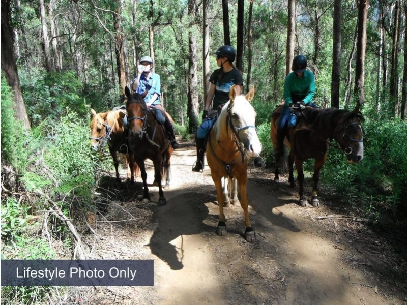 562 Old Coast Road, Kundabung NSW 2441