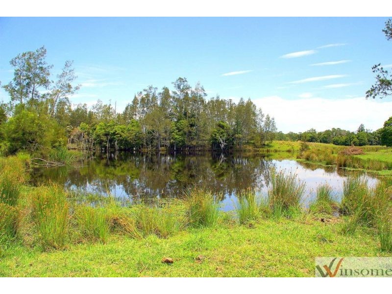 95 Owens Access, Collombatti NSW 2440