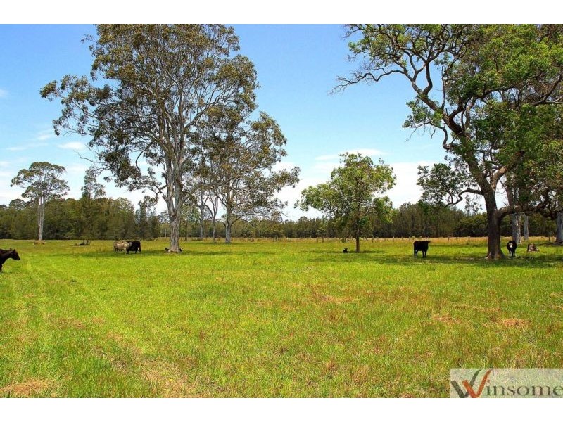 95 Owens Access, Collombatti NSW 2440