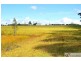 95 Owens Access, Collombatti NSW 2440