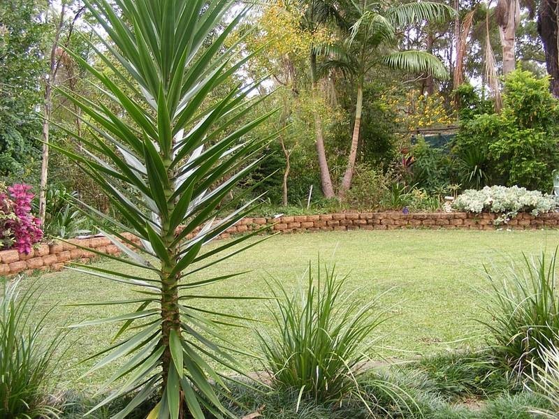 156 Gowings Hill Road, Dondingalong Via, Kempsey NSW 2440