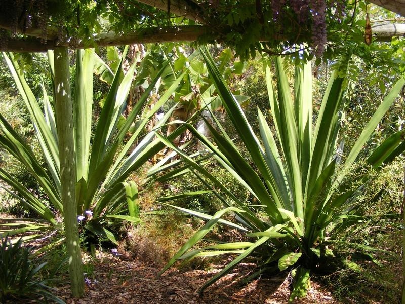 156 Gowings Hill Road, Dondingalong Via, Kempsey NSW 2440