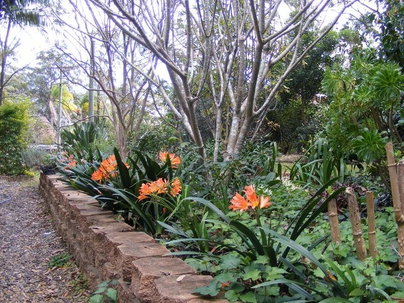 156 Gowings Hill Road, Dondingalong Via, Kempsey NSW 2440