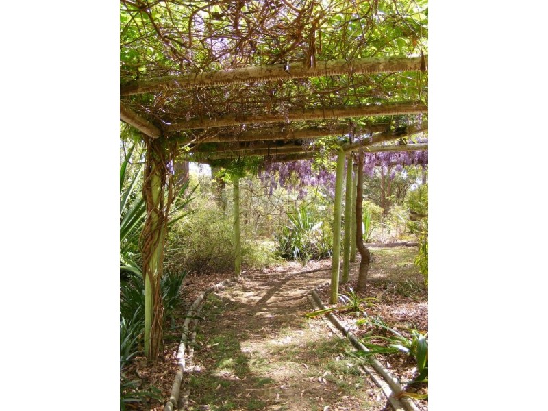 156 Gowings Hill Road, Dondingalong Via, Kempsey NSW 2440