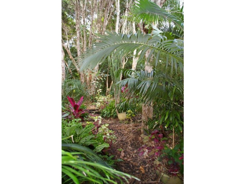 3 Noongah Terrace, Crescent Head NSW 2440