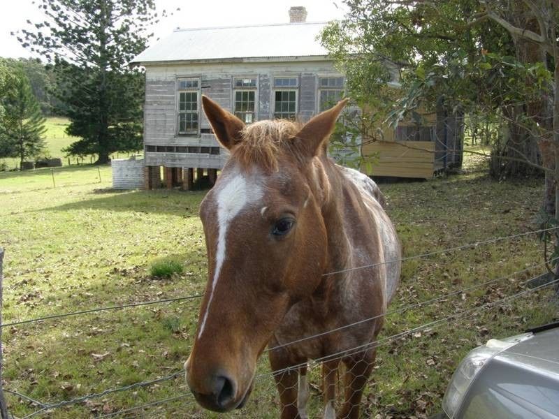 94 Mainey’s Road, Turners Flat NSW 2440
