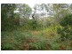 Lot 218 Appletree Lane, Temagog via, Kempsey NSW 2440