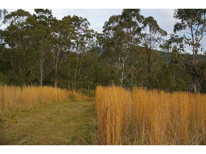 Lot 218 Appletree Lane, Temagog via, Kempsey NSW 2440