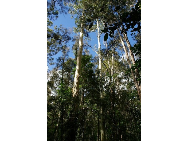 697 Beranghi Road, Crescent Head NSW 2440