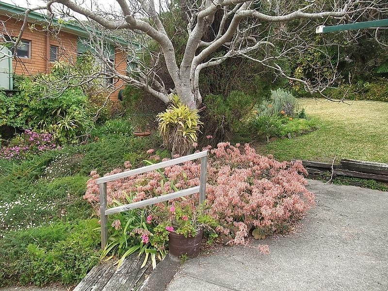 9 Gowing Street, Crescent Head NSW 2440