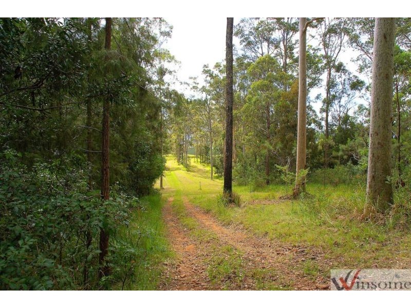 58 Davis Road, Wittitrin NSW 2440