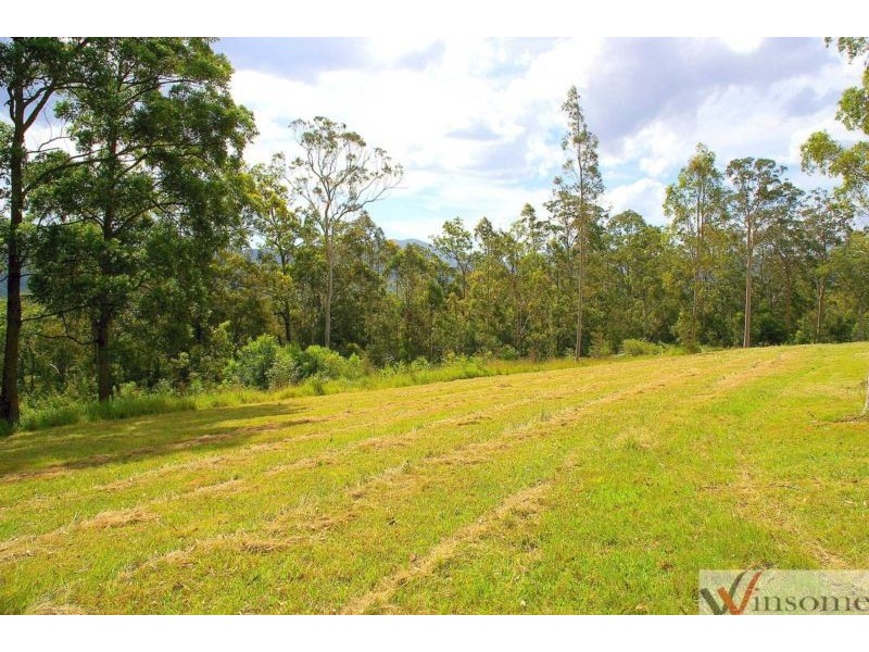 58 Davis Road, Wittitrin NSW 2440