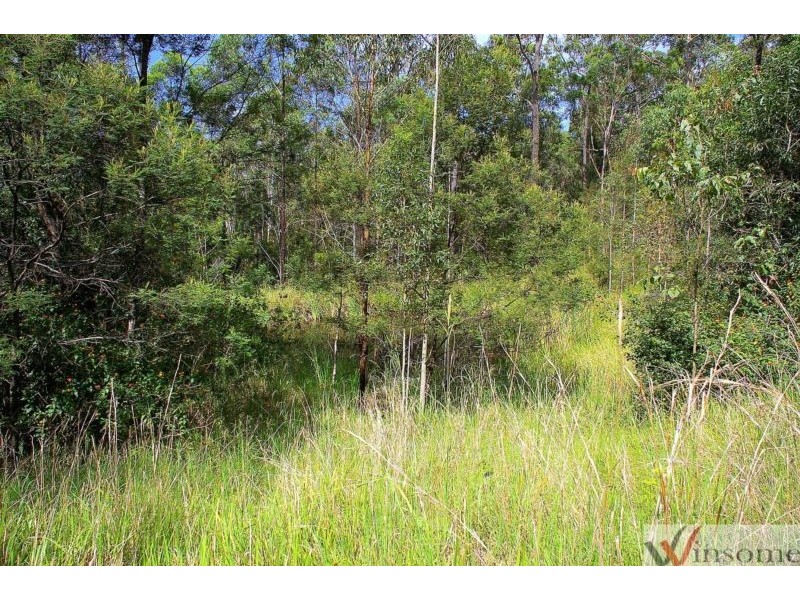 58 Davis Road, Wittitrin NSW 2440