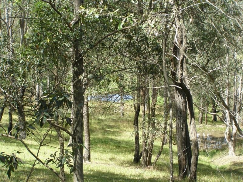 285 Turners Flat Road, Turners Flat NSW 2440