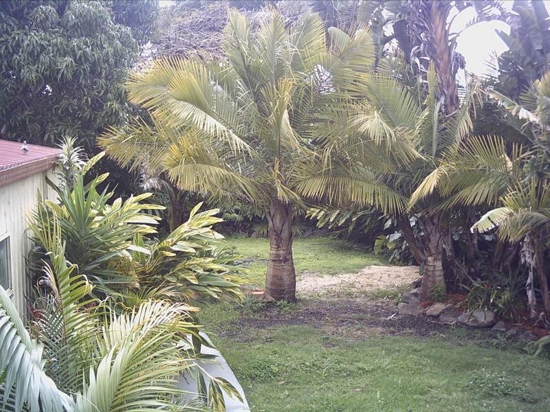 72 Rawson Street, Smithtown NSW 2440