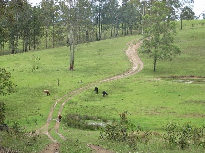 40 Stony Creek Lane, Temagog Via, Kempsey NSW 2440