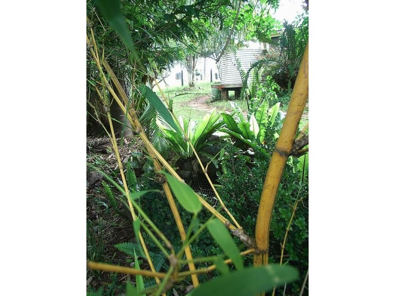 40 Stony Creek Lane, Temagog Via, Kempsey NSW 2440