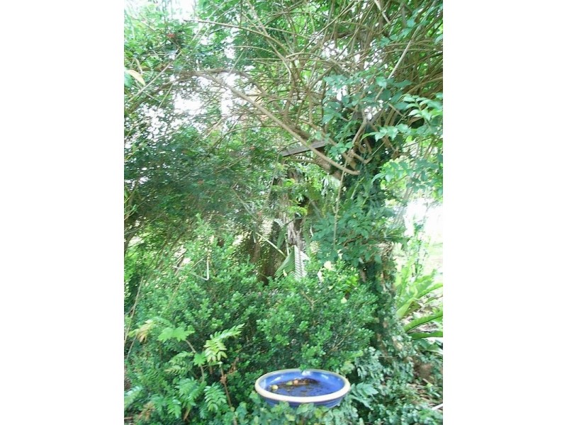 40 Stony Creek Lane, Temagog Via, Kempsey NSW 2440