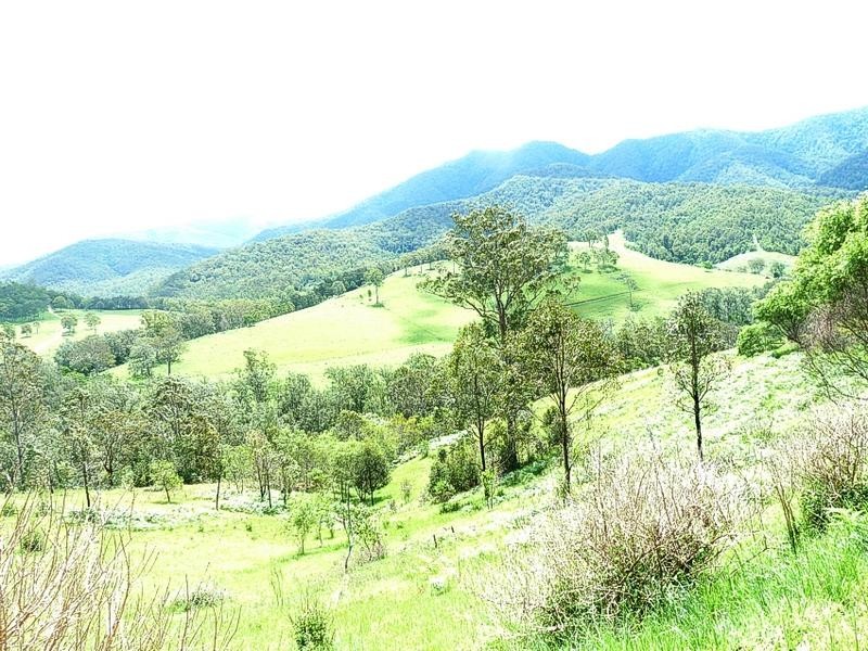 Toorumbee Road, Toorumbee via, Kempsey NSW 2440