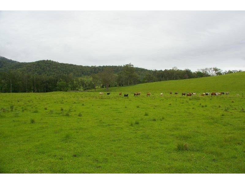 Property 5 Toorumbee Road, Toorumbee via, Kempsey NSW 2440