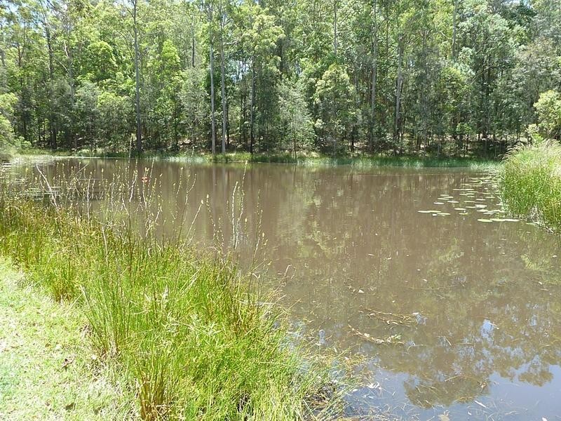 31 Bottletree Lane, Dondingalong NSW 2440