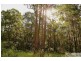 13 Bede Lawrence Close, Frederickton NSW 2440