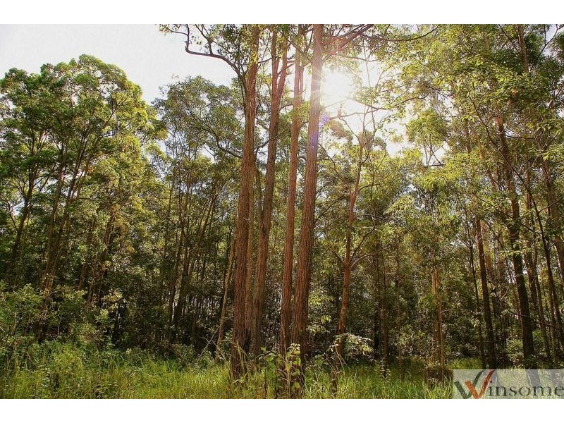 13 Bede Lawrence Close, Frederickton NSW 2440