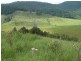 1547 Warbro Brook Road, Willi Willi via, Kempsey NSW 2440